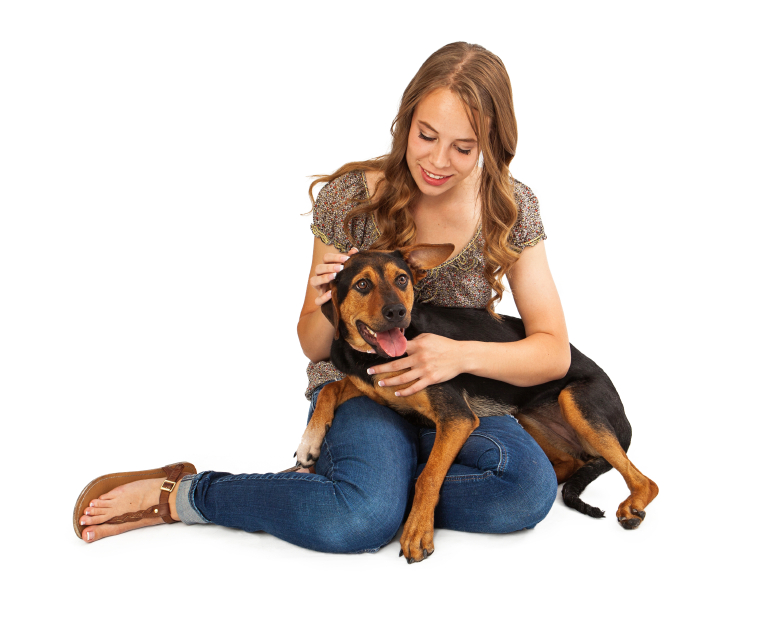 Girl Petting Crossbreed Dog