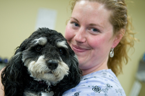 Join Our Team | Veterinary Medical Center of Central New York