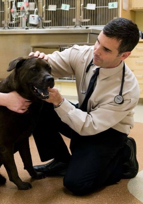 Dr Rassnick With Black Dog